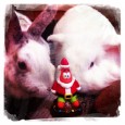 monkey xmas Wir haben euch ein kleines Download-Geschenk vorbereitet...