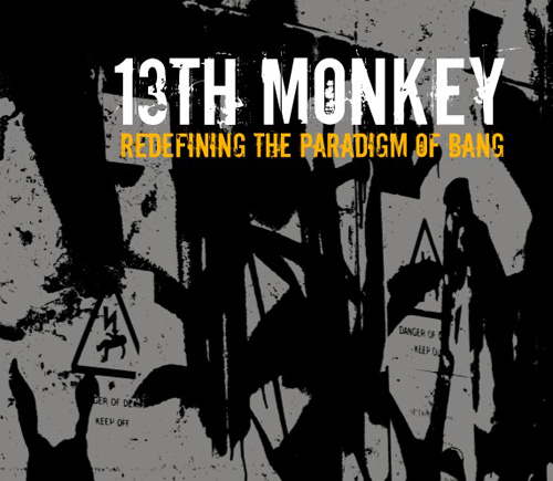 13thmonkeyredefiningcover