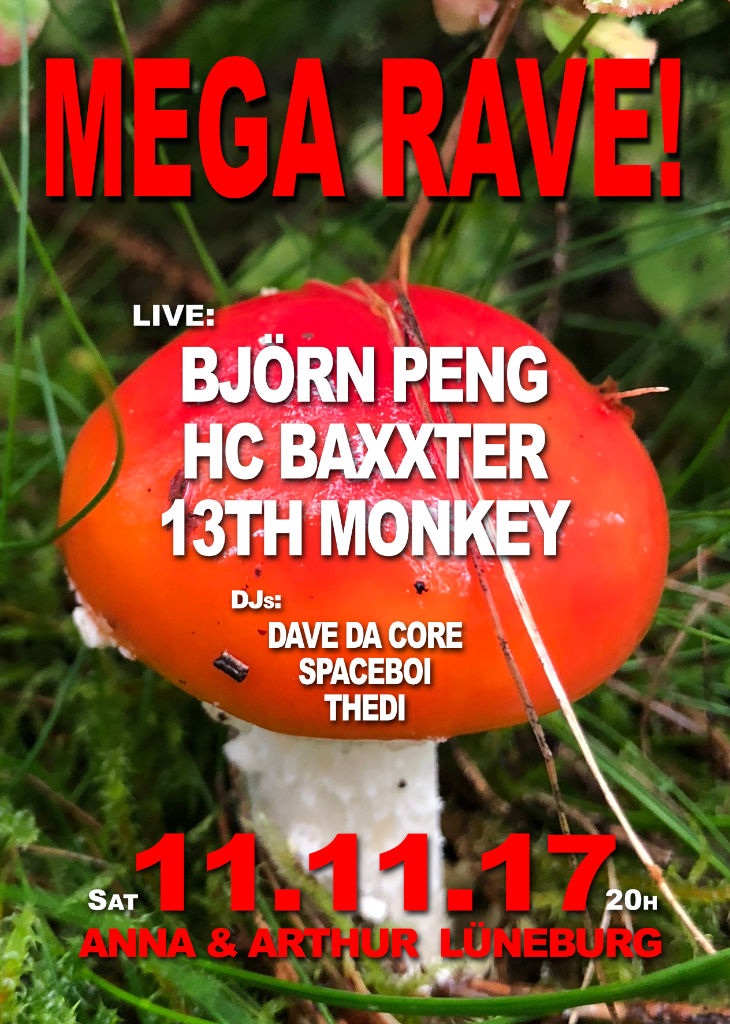 Mega Rave! Mit Björn Peng, HC Baxxter und 13th Monkey!